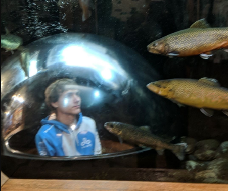 Parker at the aquarium exhibit